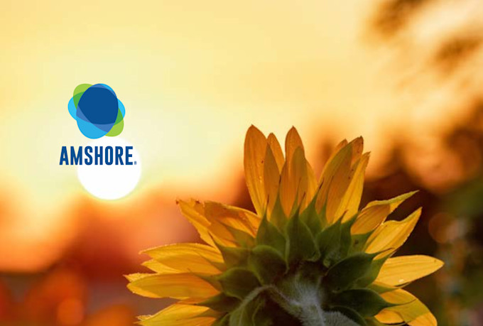 write an ebook on renewable energy and sustainability